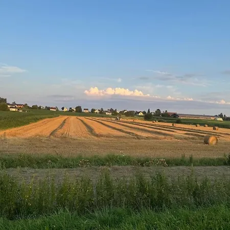 Vila Magnifique 4 Avec Piscine *